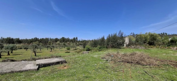 Quinta T0 para Venda em Nossa Senhora do Pranto