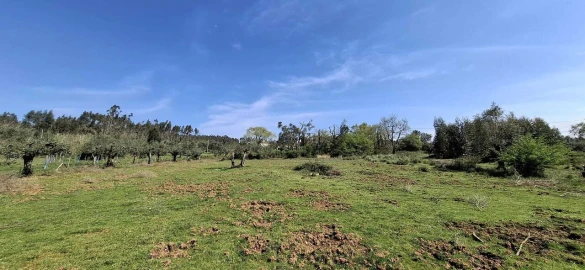 Quinta T0 para Venda em Nossa Senhora do Pranto