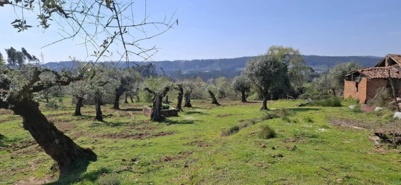 Quinta T0 para Venda em Nossa Senhora do Pranto