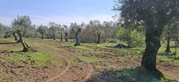 Quinta T0 para Venda em Nossa Senhora do Pranto