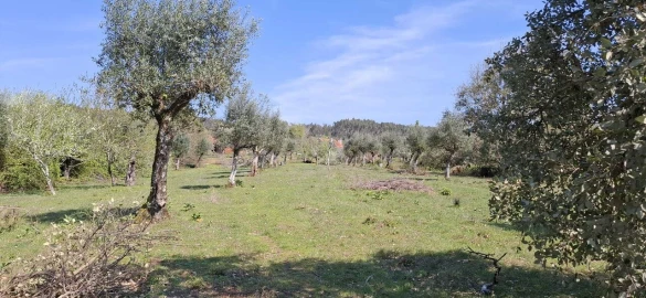 Quinta T0 para Venda em Nossa Senhora do Pranto