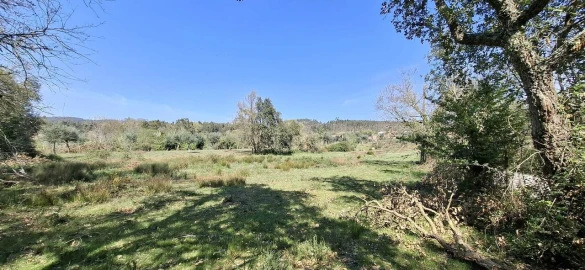 Quinta T0 para Venda em Nossa Senhora do Pranto
