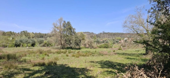 Quinta T0 para Venda em Nossa Senhora do Pranto