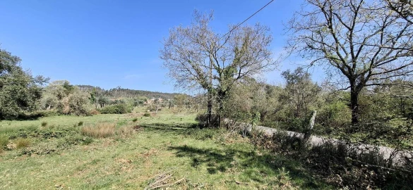 Quinta T0 para Venda em Nossa Senhora do Pranto