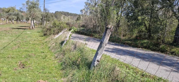 Quinta T0 para Venda em Nossa Senhora do Pranto