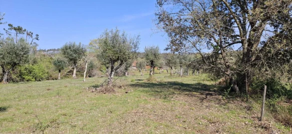Quinta T0 para Venda em Nossa Senhora do Pranto