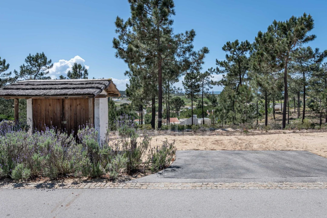 Terreno para Venda em Carvalhal Foto 9