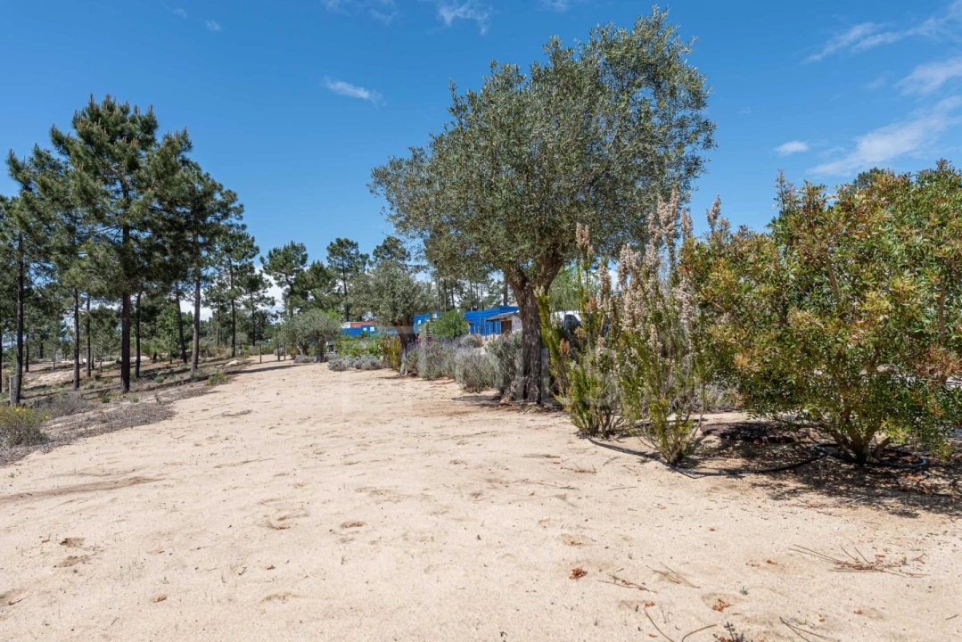 Terreno para Venda em Carvalhal Foto 10