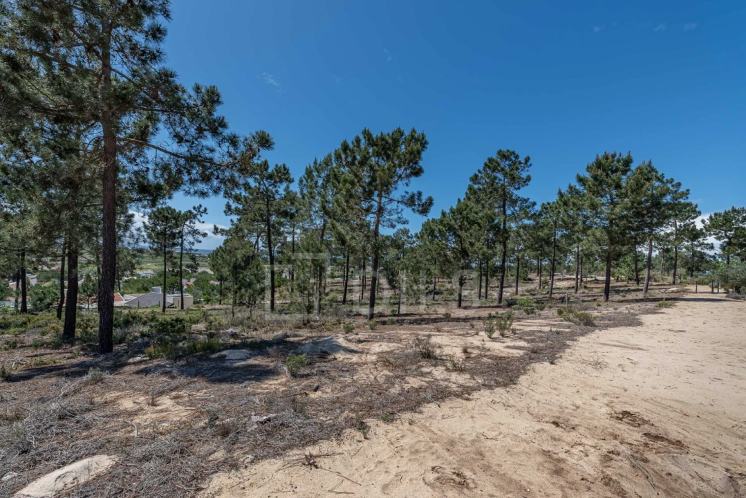 Terreno para Venda em Carvalhal Foto 11
