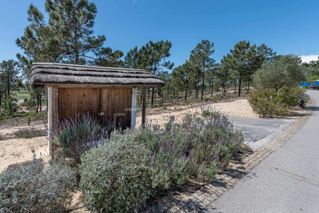 Terreno para Venda em Carvalhal Foto 12