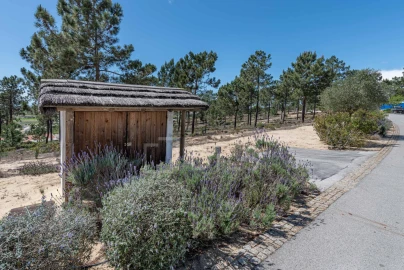 Terreno para Venda em Carvalhal