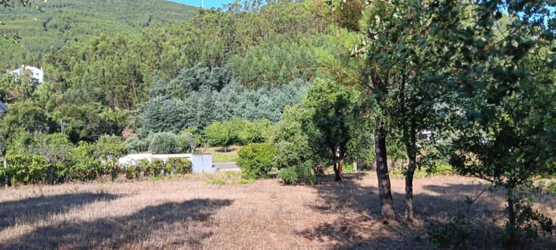 Terreno Agricola ou Rústico para Arrendamento em Amendoa Foto 6