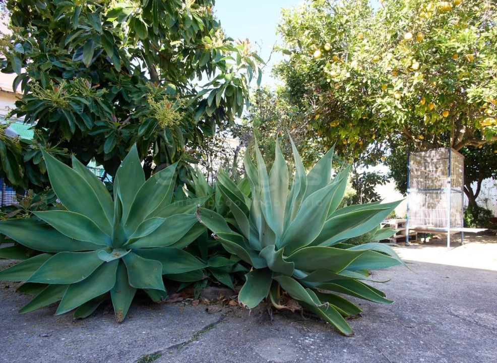 Moradia T5 para Venda em Altura Foto 29