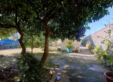 Moradia T5 para Venda em Altura