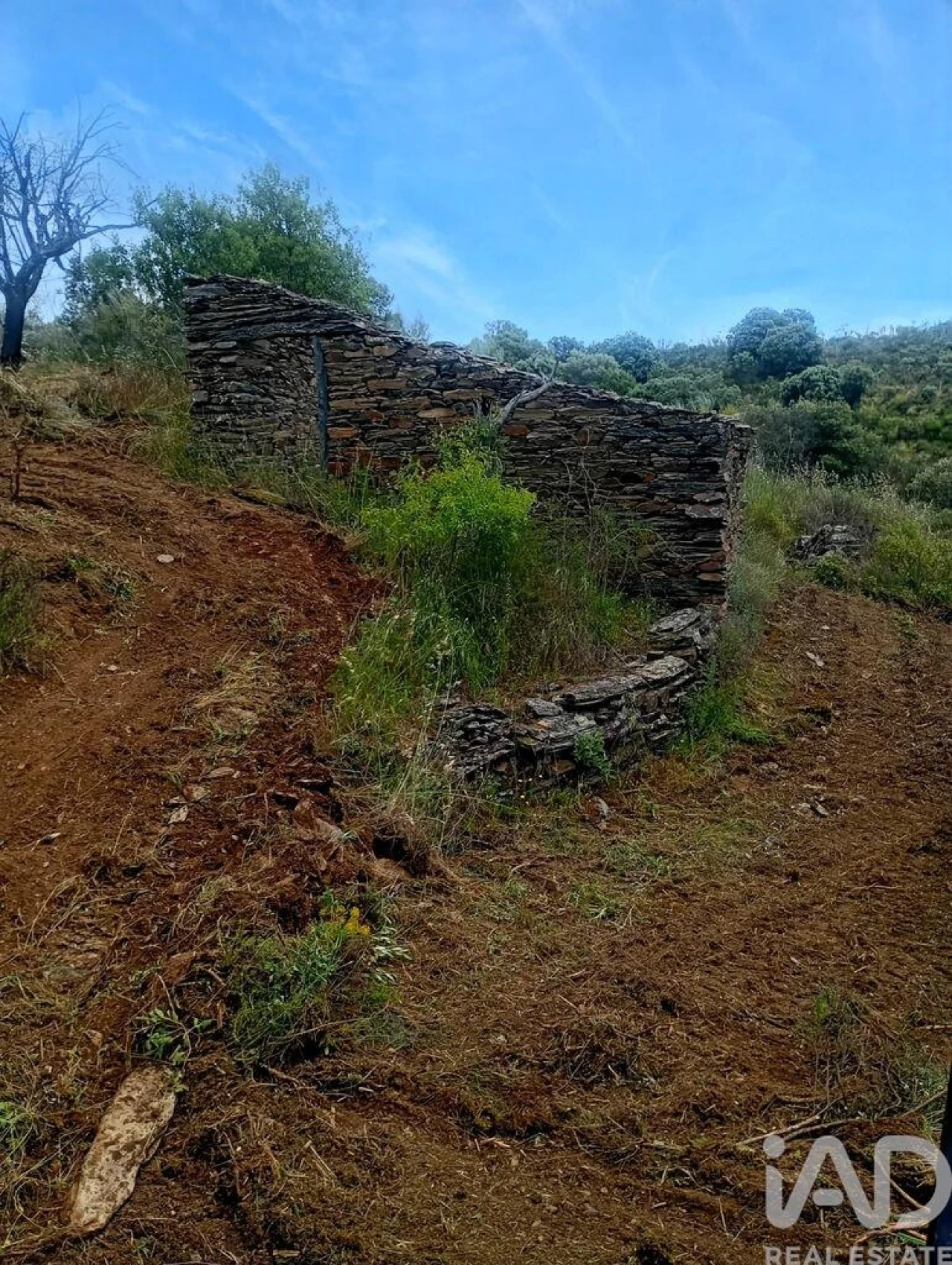Terreno para Venda em Vila Nova de Foz Côa Foto 7