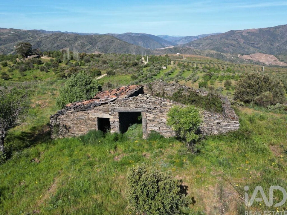Terreno para Venda em Vila Nova de Foz Côa Foto 6