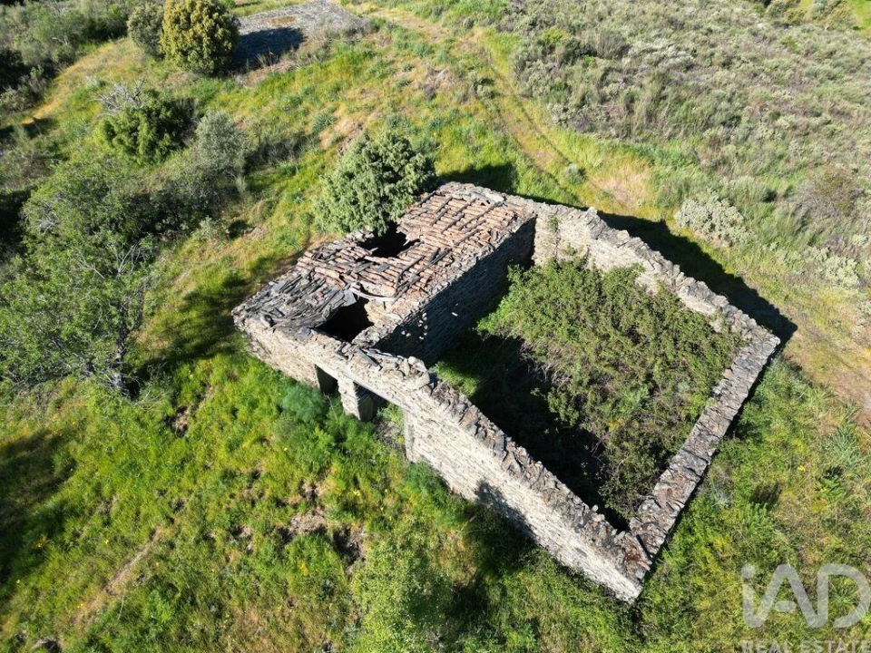 Terreno para Venda em Vila Nova de Foz Côa Foto 12