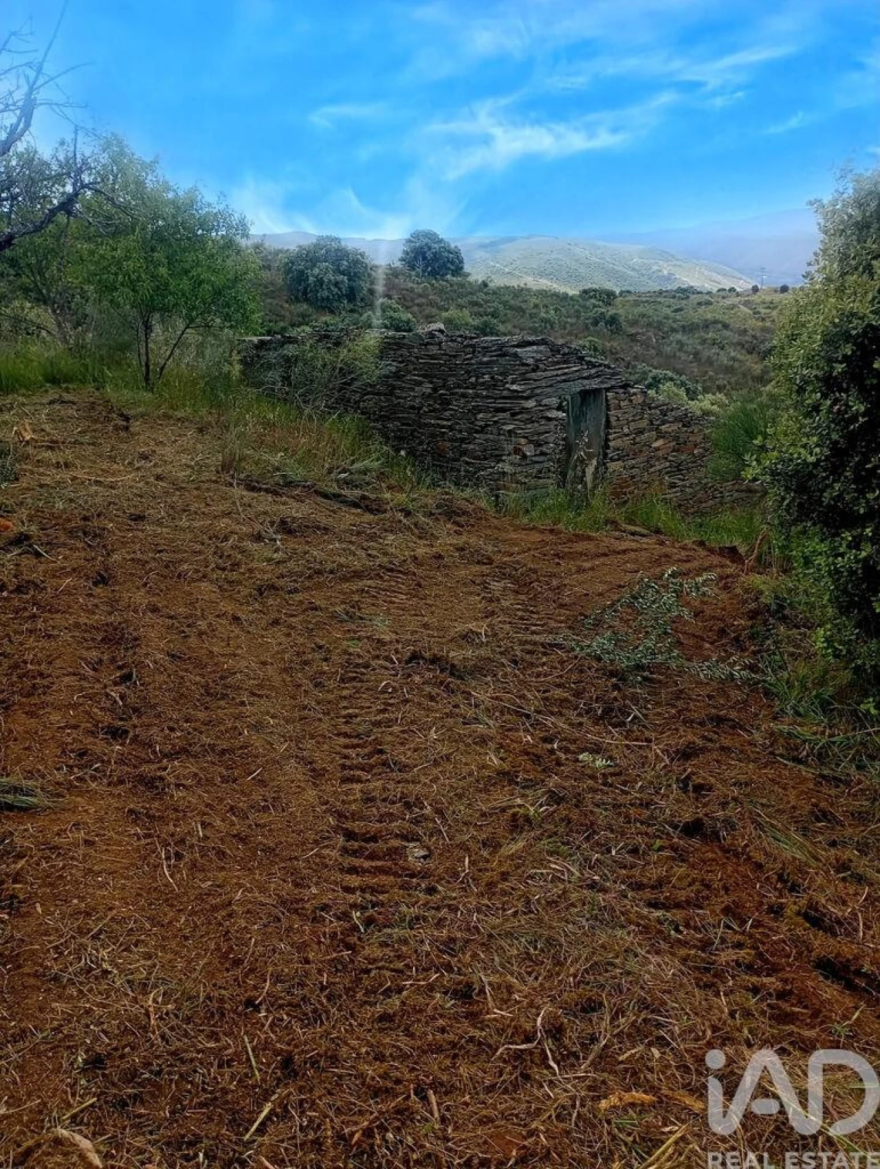 Terreno para Venda em Vila Nova de Foz Côa Foto 20