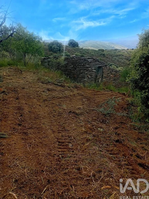 Terreno para Venda em Vila Nova de Foz Côa