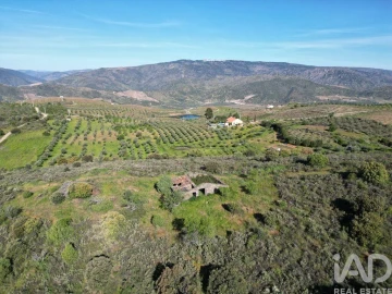 Terreno para Venda em Vila Nova de Foz Côa