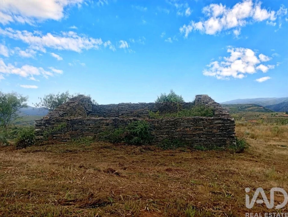 Terreno para Venda em Vila Nova de Foz Côa Foto 4