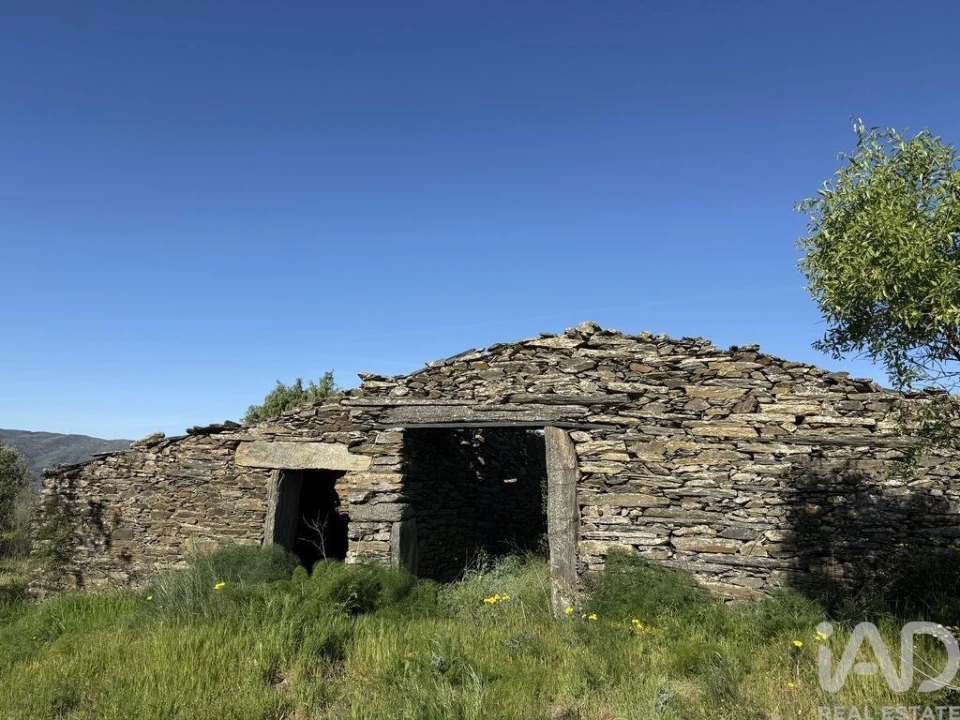 Terreno para Venda em Vila Nova de Foz Côa Foto 4