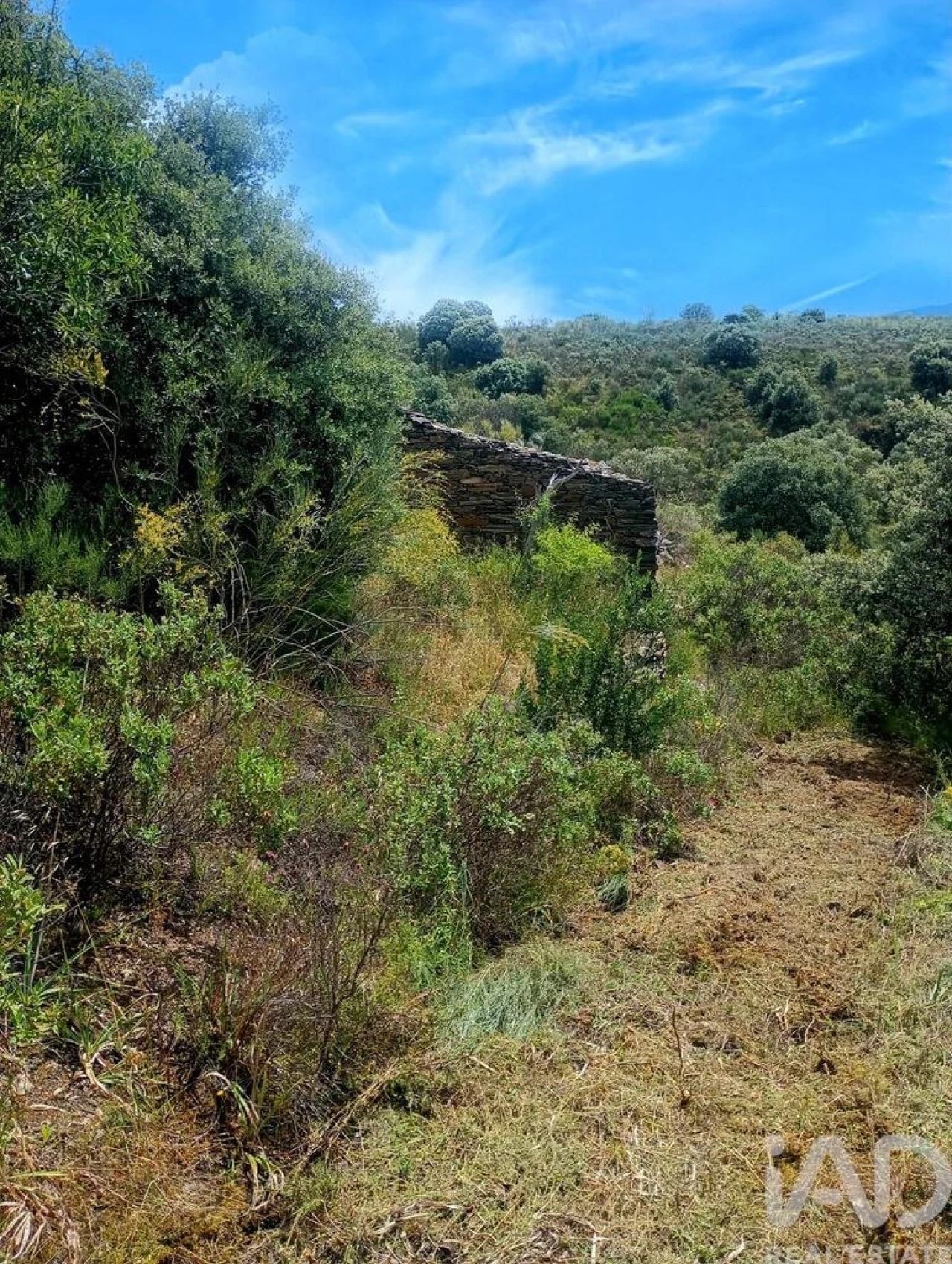 Terreno para Venda em Vila Nova de Foz Côa Foto 18