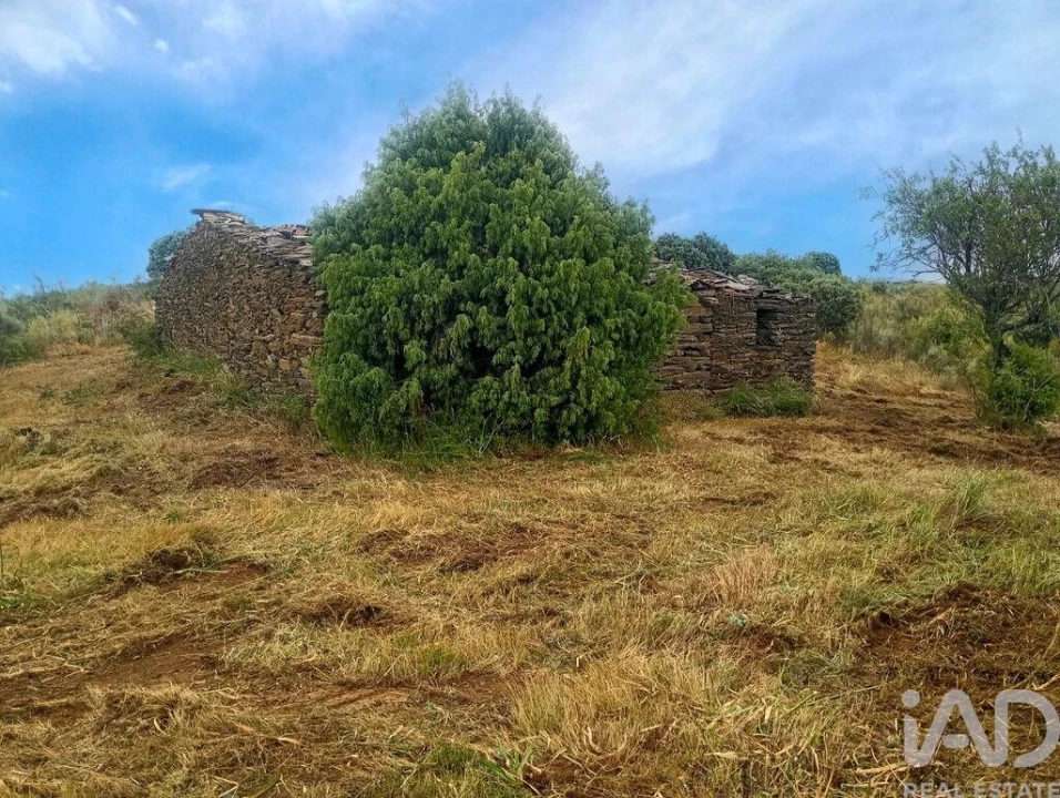 Terreno para Venda em Vila Nova de Foz Côa Foto 5