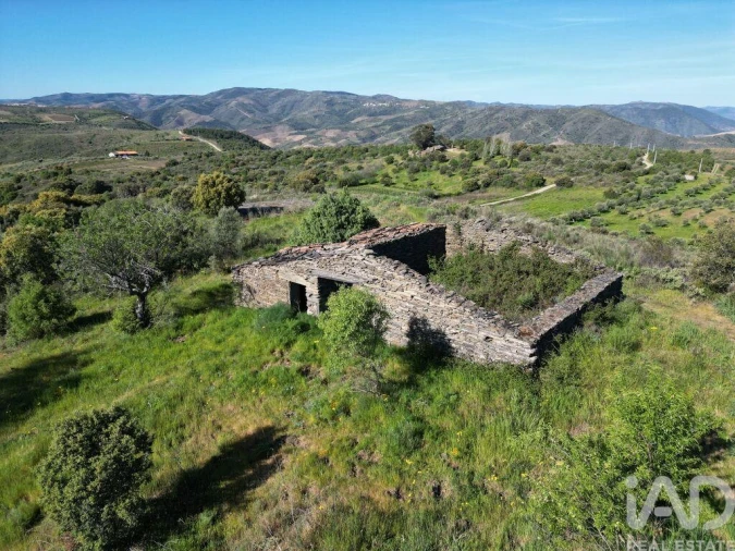 Terreno para Venda em Vila Nova de Foz Côa Foto 11