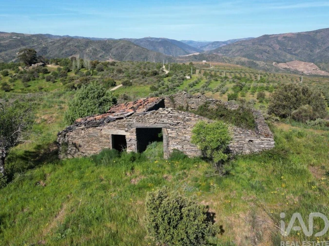 Terreno para Venda em Vila Nova de Foz Côa Foto 6