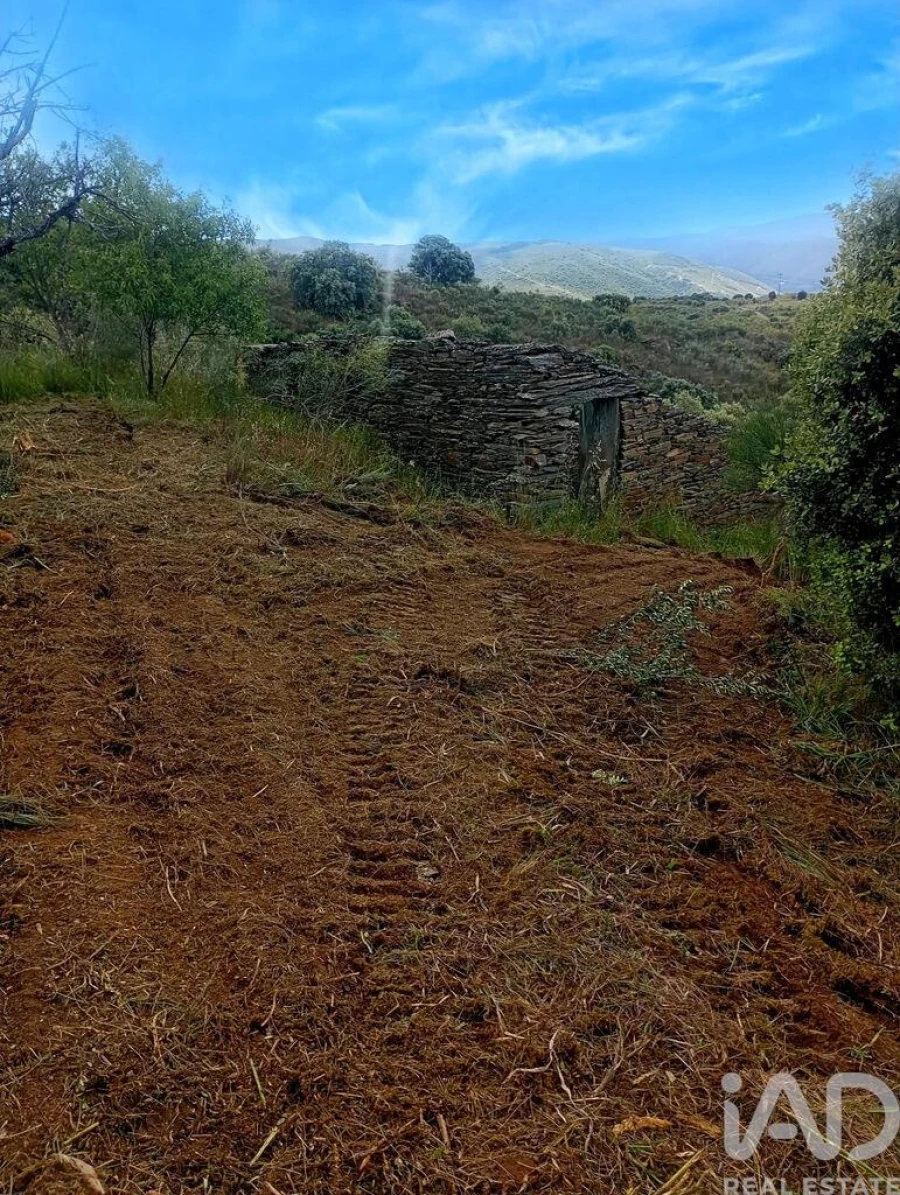 Terreno para Venda em Vila Nova de Foz Côa Foto 20