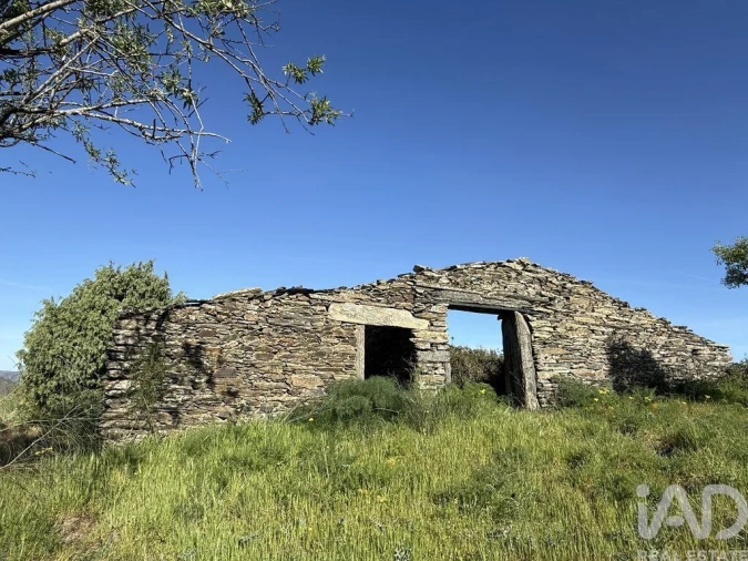 Terreno para Venda em Vila Nova de Foz Côa Foto 3