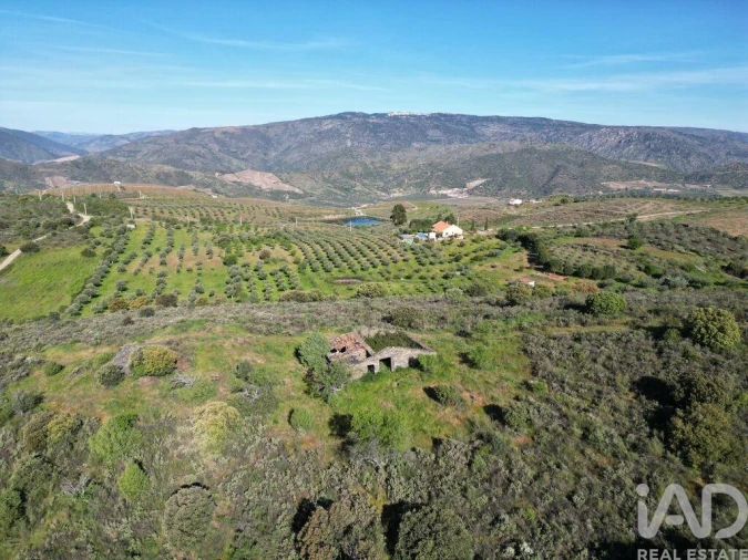 Terreno para Venda em Vila Nova de Foz Côa Foto 8