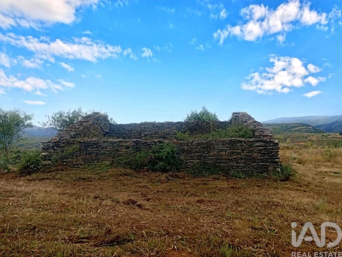 Terreno para Venda em Vila Nova de Foz Côa Foto 4