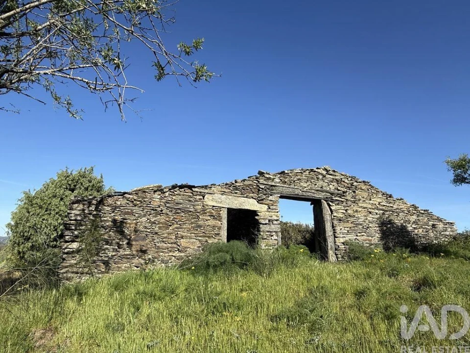 Terreno para Venda em Vila Nova de Foz Côa Foto 1