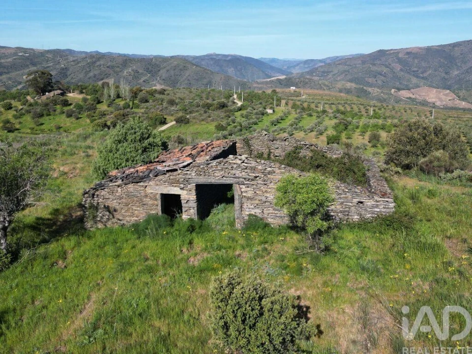 Terreno para Venda em Vila Nova de Foz Côa Foto 10