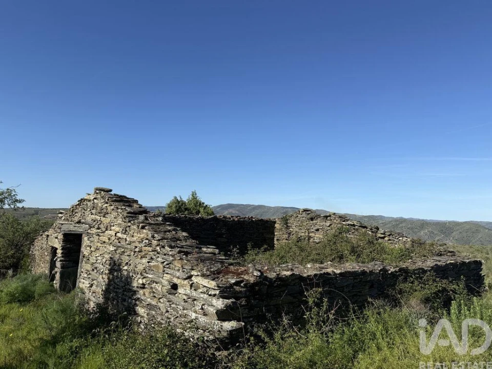 Terreno para Venda em Vila Nova de Foz Côa Foto 5