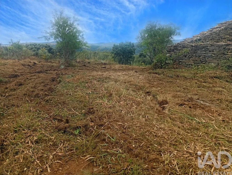 Terreno para Venda em Vila Nova de Foz Côa Foto 17