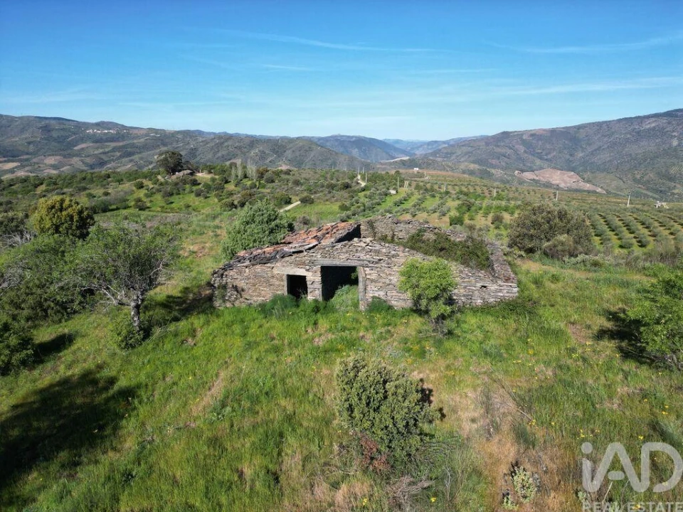 Terreno para Venda em Vila Nova de Foz Côa Foto 7