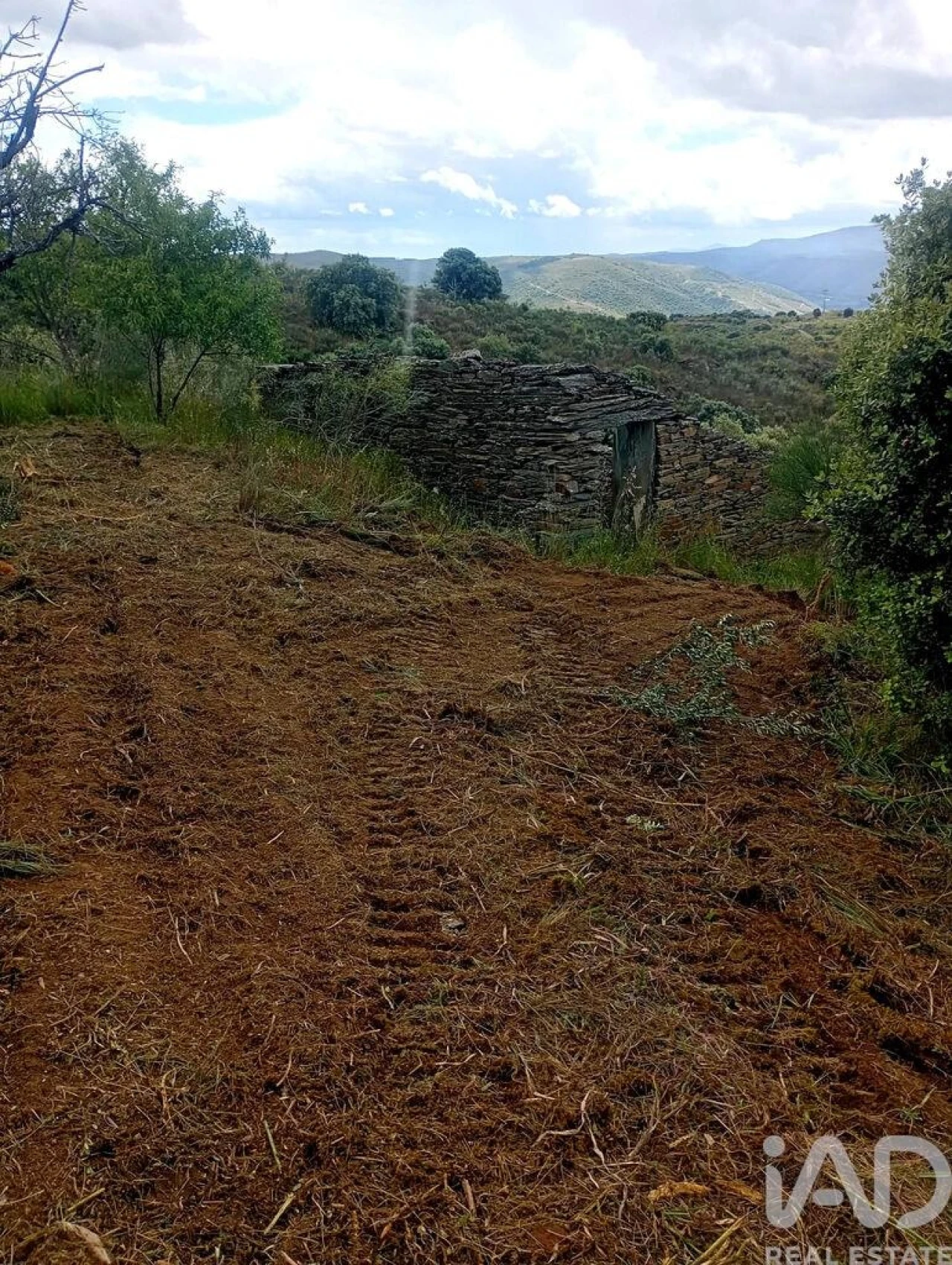 Terreno para Venda em Vila Nova de Foz Côa Foto 19
