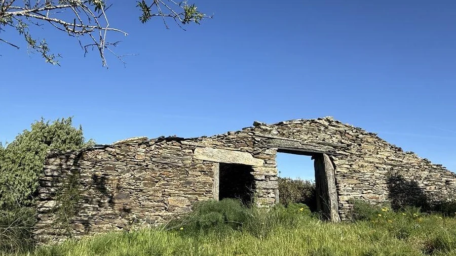Terreno para Venda em Vila Nova de Foz Côa