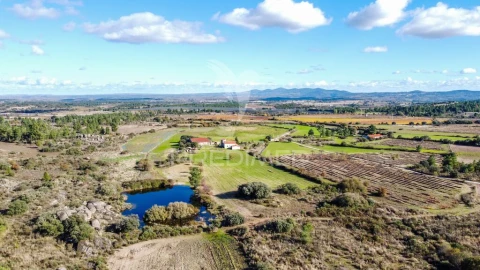 Quinta T5 para Venda em Coriscada