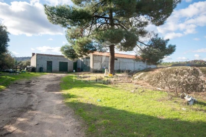 Quinta T5 para Venda em Coriscada