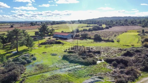 Quinta T5 para Venda em Coriscada