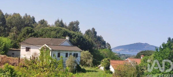 Moradia T3 para Venda em Loivo