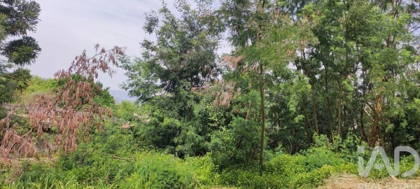 Moradia T3 para Venda em Loivo