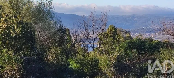 Moradia T3 para Venda em Loivo