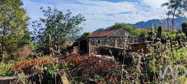 Moradia T3 para Venda em Loivo