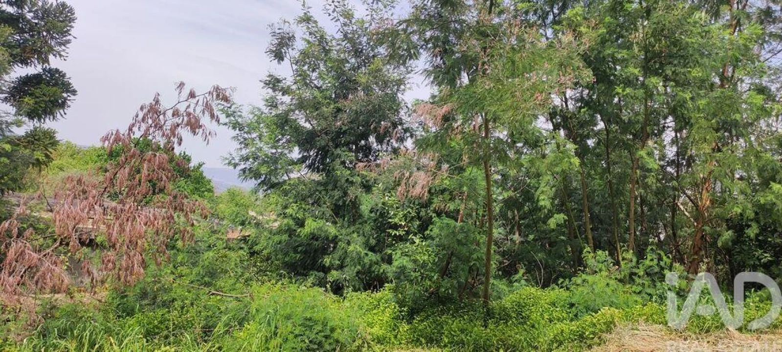 Moradia T3 para Venda em Loivo Foto 27