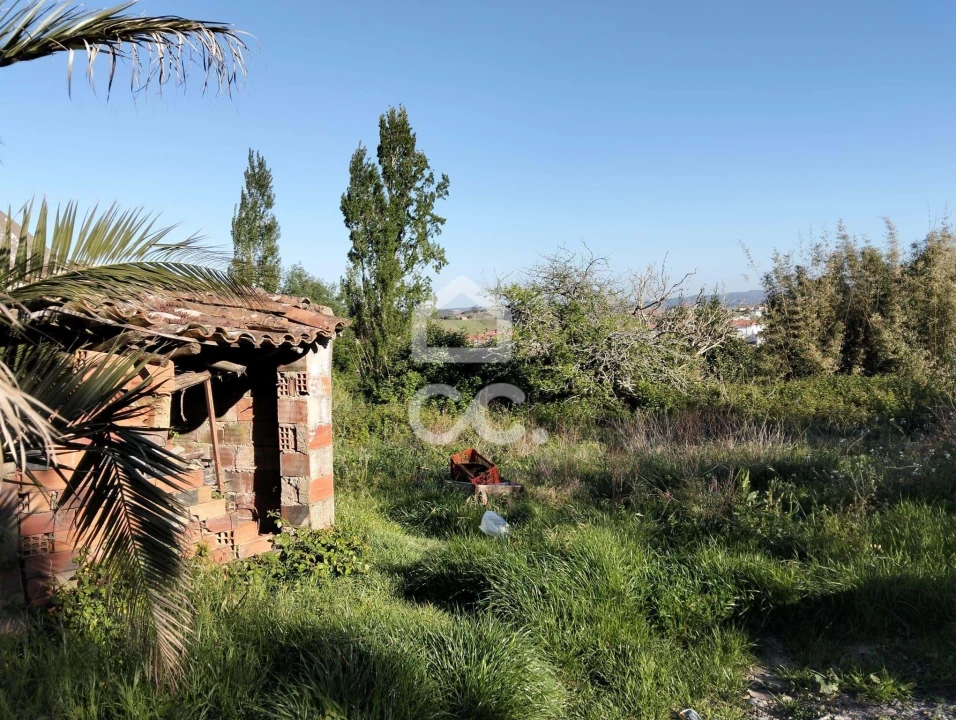 Moradia T3 para Venda em Carvalhal Foto 11